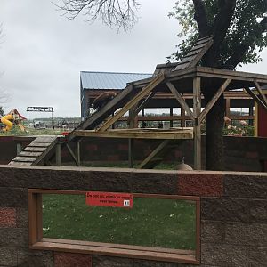 Nepalese Red Panda Exhibit