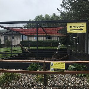 Great Indian Hornbill Exhibit