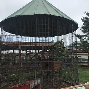 Vervet/African Crested Porcupine Exhibit