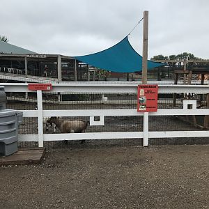 Farmyard Exhibit