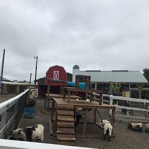 Farmyard Exhibit