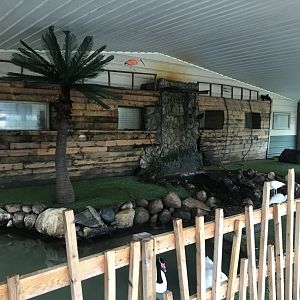Shipwreck Cove- Main Exhibit