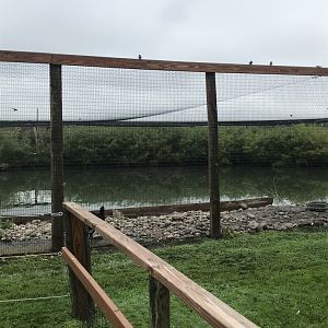 Second Waterfowl Aviary