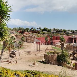 South-East Asian elephan, Barasingah, Chital, Blackbuck yard