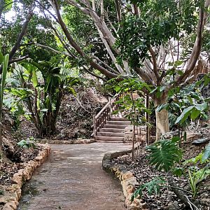 South American Aviary