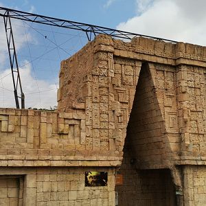 South American Aviary