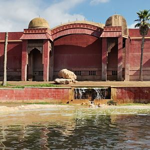 South-East Asian elephant facility