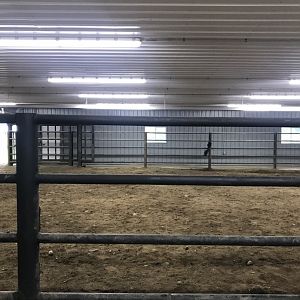 Rhino building- Indian Rhino Indoor exhibit