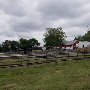 USVP - Domestic ungulates, view from parking lot