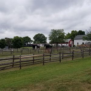 USVP - Goat from parking lot