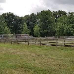 USVP - Goats, empty exhibit