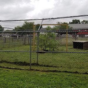 USVP - Empty exhibit