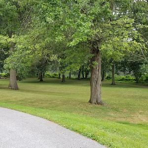 USVP - Park, Schuylkill River