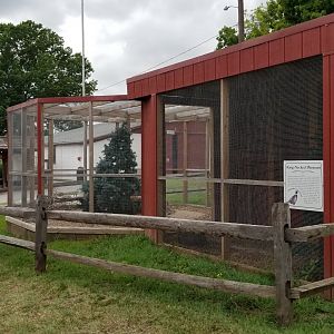 USVP - Ring-neck pheasant