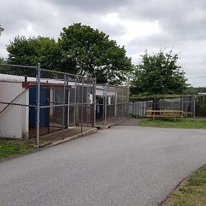 USVP - Outside Schuylkill Woods area