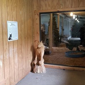 USVP - Schuylkill Woods, Bobcat indoor area