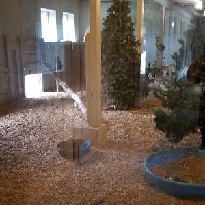 USVP - Schuylkill Woods, Bobcat indoor area