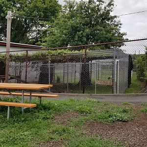 USVP - Empty exhibit?