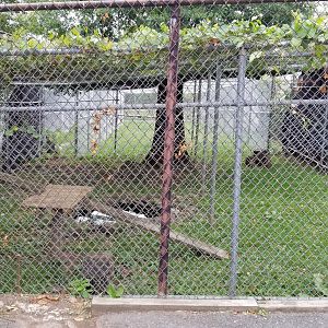 USVP - Empty exhibit?