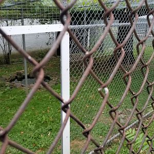 USVP - Empty exhibit?