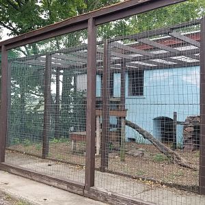 USVP - Bobcat outdoor area