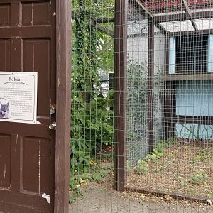 USVP - Bobcat outdoor area