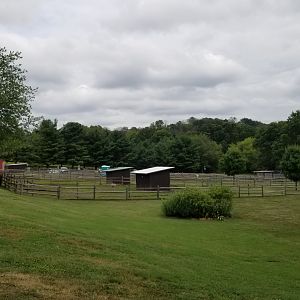 USVP - Looking back to donkeys, parking