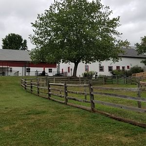 USVP - Back of building, donkeys