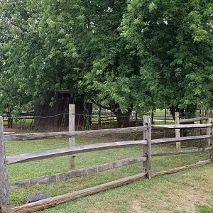 USVP - Domestic fowl