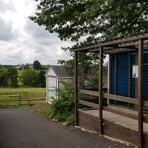USVP - Great horned owl, fields beyond park