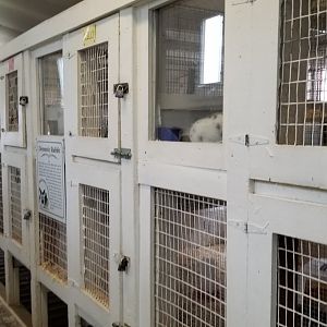 USVP - Row of hutches