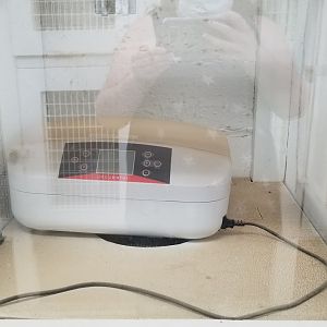 USVP - Egg incubator