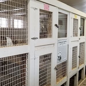 USVP - Row of hutches from other end