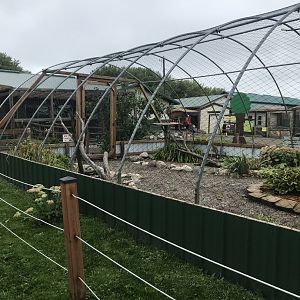 Red-Legged Seriema Exhibit