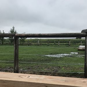 Indian Rhinoceros Exhibit