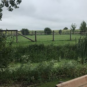 Indian Rhinoceros Exhibit