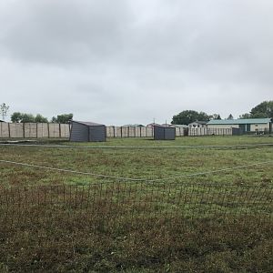 Bactrian Camel/Yak/Grant’s Zebra Exhibit