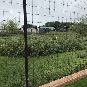 European White Stork Exhibit
