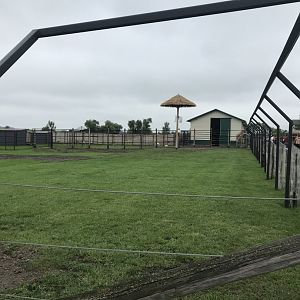 Generic Giraffe Exhibit