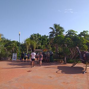 View into the park -TerraNatura Benidorm (2021)