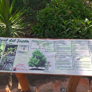 Vegetation signae -TerraNatura Benidorm (2021)