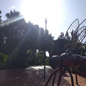 Pangea view -TerraNatura Benidorm (2021)