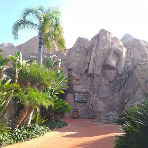 World of venom and other creatures volcano -TerraNatura Benidorm (2021)