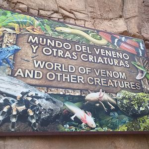 World of venom and other creatures -TerraNatura Benidorm (2021)