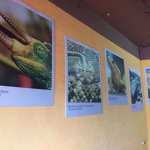 Entrance pictures -TerraNatura Benidorm (2021)