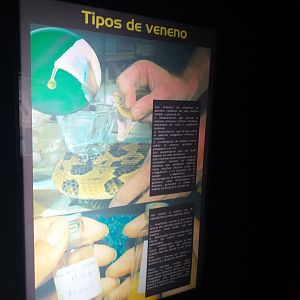 Types of venom sign -TerraNatura Benidorm (2021)