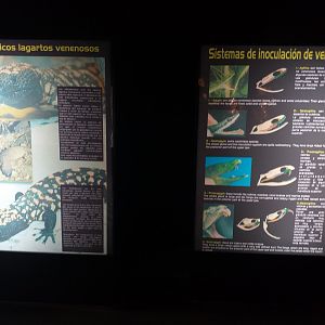 Signae -TerraNatura Benidorm (2021)