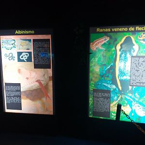 Signae -TerraNatura Benidorm (2021)