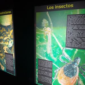 Signae -TerraNatura Benidorm (2021)