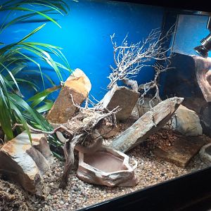 Egg-eating snake exhibit -TerraNatura Benidorm (2021)